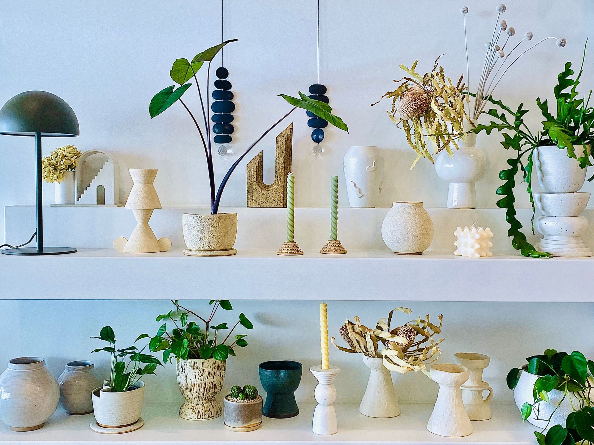 Interior Shelf of PLants and Ceramics